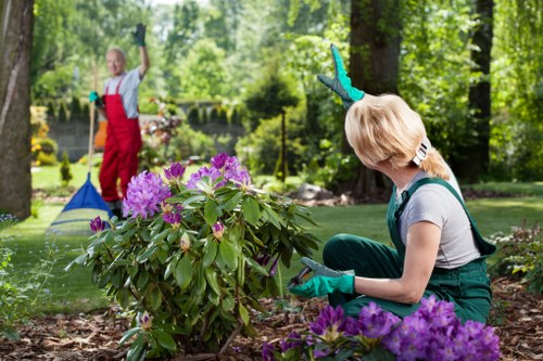 Professional garden clearance team in Maida Vale