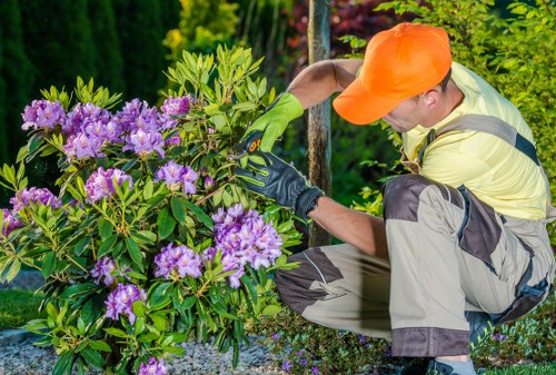 Landscapers Maida Vale commitment to ethical business and anti-slavery practices