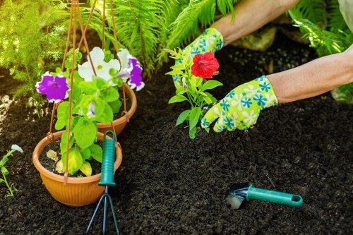 Garden maintenance activities in Maida Vale