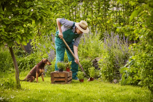 A person wearing a wide-brimmed straw hat, a patterned shirt, and teal gardening overalls is tending to a lush garden, using a small garden tool to work the soil near a wooden planter box filled with potted plants. The garden features a well-maintained green lawn in the foreground, bordered by a variety of tall plants, shrubs, and flowering bushes, including purple lavender and other flowering perennials. Mature trees and dense foliage create a shaded, outdoor environment typical of a private backyard or back garden in Maida Vale, contributing to a natural and vibrant outdoor space. A brown dog sits attentively nearby on the bright, sunny day, with sunlight filtering through the leaves. The scene captures a peaceful moment of outdoor gardening, highlighting garden maintenance activities that Landscapers Maida Vale might assist with, along with overall garden care services. The setting demonstrates a landscaped backyard with dense greenery, flowering borders, and a tidy lawn area, suitable for gardening and outdoor leisure activities commonly found in the London borough of Westminster. The weather appears warm and clear, enhancing the natural color tones of the garden's plants and grass.