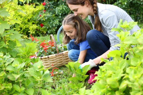 Diverse plant selection for Maida Vale gardens