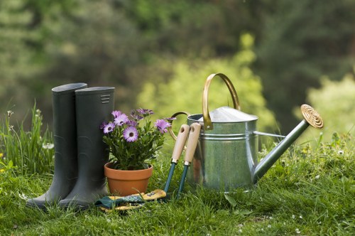 Variety of plants suitable for Maida Vale gardens
