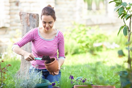 A young woman with dark hair tied back, wearing a pink and white striped long-sleeved top, is gardening in an outdoor backyard space. She is using a small trowel to plant or transplant flowers into a terracotta pot, with her focus directed downward at her task. The garden area features a lush green lawn with dense grass, various potted plants, and flower beds with purple and green foliage. In the background, there are trees, a wooden fence, and a large tree stump, indicating a well-maintained, landscaped yard typical of residential properties in Maida Vale. The scene is illuminated by natural daylight under slightly overcast skies, creating a soft, even light across the scene. This setting exemplifies outdoor gardening activities that local landscaping services like Landscapers Maida Vale support, emphasizing the natural beauty and structured planting arrangements of a typical UK garden environment.