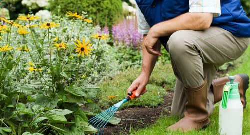 Sustainable landscaping practices by Maida Vale Landscapers