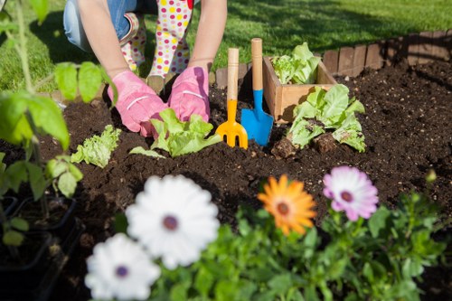 The image depicts a garden scene in a suburban outdoor space, where a person is tending to vegetable plants within a neatly edged flower bed. The gardener, whose hands are visible, is wearing pink gardening gloves and is planting or weeding among lush, leafy green lettuce plants with vibrant, healthy foliage. In the foreground, there are colorful flowering plants, including white and purple daisies, adding visual interest and natural beauty to the garden. The soil appears dark and moist, indicating recent watering or planting activity, with a set of small gardening tools—such as a yellow rake and blue trowel—placed nearby within the flower bed for easy access. The background shows well-maintained grass and part of the garden's boundary, possibly a wooden border or brick edging, suggesting a landscaped yard suitable for various gardening services offered by landscapers, such as vegetable gardening and flower bed maintenance. The overall scene captures an inviting and productive outdoor space on a bright, sunny day, typical of a UK garden in spring or summer, emphasizing the care and effort involved in sustainable outdoor gardening and landscaping in Maida Vale or nearby areas.