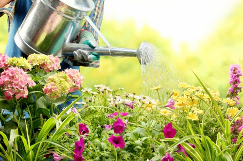 Eco-friendly lawn mowing equipment in use