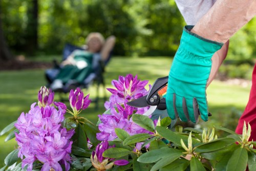 Healthy soil preparation for garden maintenance