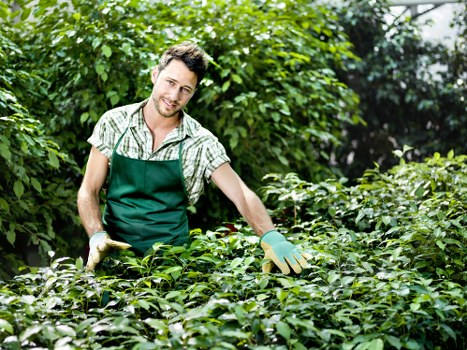 Tools and equipment used for garden clearance