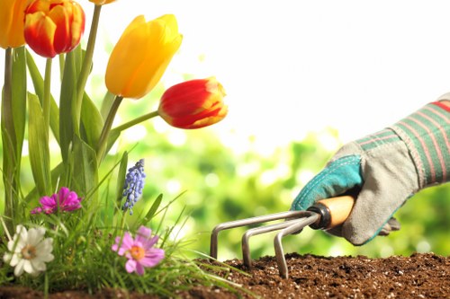 Maintenance tools for deck upkeep