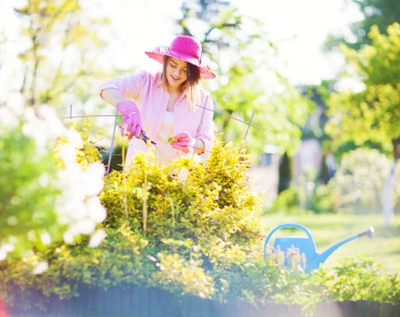 Natural pest control methods in a Maida Vale garden