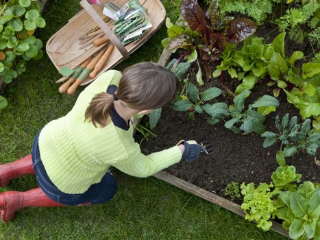 Our team working on a landscaping project in Maida Vale
