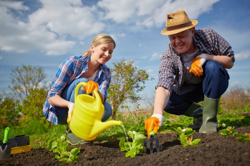 The image shows two gardeners working together in a well-maintained outdoor garden area, with a clear blue sky and a few scattered clouds overhead. In the foreground, a young woman and an older man are tending to neatly planted rows of young leafy greens, which are vibrant green in colour. The soil is dark and appears freshly tilled, with some small plants spaced evenly along the bed's length. The gardeners are both wearing casual gardening attire, including plaid shirts, gloves, and wide-brimmed hats to protect from the sun. The woman is holding a yellow watering can, pouring water onto the plants, while the man is using a small hand tool to tend the soil around the plants. In the background, a lush hedge and distant trees provide a natural setting typical of a landscaped outdoor space in Maida Vale, suggesting professional garden maintenance and landscaping work by Landscapers Maida Vale. The scene captures a warm, sunny day suitable for outdoor garden care and planting activities, emphasizing the focus on gardening and lawn maintenance services in the local area.