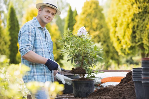 The image shows a man wearing a hat, plaid shirt, and gloves working outdoors in a garden during sunny weather. He is tending to a potted plant, which appears to be a flowering shrub with green leaves and white flowers. The garden features a landscaped area with a visible patch of soil, and in the background, there are neatly arranged rows of trees with lush green foliage and a blurred grassy lawn. The scene captures an organized garden environment, possibly part of a backyard or small landscaped yard, with natural daylight enhancing the vibrant green tones and natural textures. The man is actively engaged in planting or garden maintenance, reflecting professional gardening or landscaping activities typical of services provided by companies like Landscapers Maida Vale, especially in the Maida Vale or broader London area, as suggested by the page referencing patio repair tips. The overall setting emphasizes outdoor gardening care, planting, and landscape upkeep.