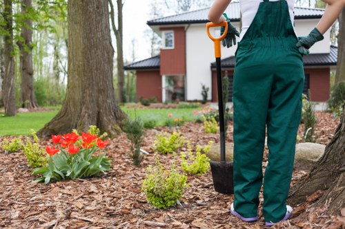 A person standing in a landscaped garden with a large tree trunk in the foreground, holding a small garden spade with an orange handle. The garden features a well-maintained flower bed with vibrant red tulips and various green shrubs surrounding a patch of brown mulch. In the background, there is a modern, red-brick house with white window frames and a dark roof, indicating a residential area in Maida Vale, London. The garden area is lush with mature trees and a neatly kept lawn, emphasizing outdoor maintenance and gardening care typical of professional landscaping services. The scene is well-lit with natural daylight, suggesting it is a clear day, and the environment appears tidy and inviting, suitable for residential gardening projects undertaken by providers like Landscapers Maida Vale.
