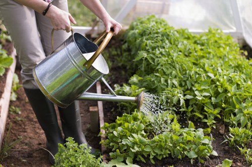 Pruning shrubs and trees in a Maida Vale backyard