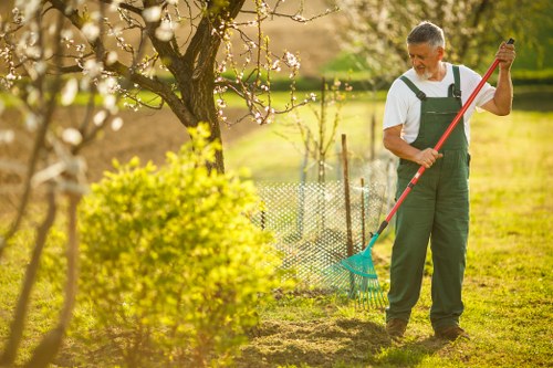 A man in gardening overalls, standing in a well-maintained garden in Maida Vale, is using a red-handled rake to clear fallen leaves and debris from a patch of soil near a blossoming tree with white flowers. In the foreground, there is a vibrant yellow-green shrub, and behind him, a wire fence delineates the garden boundary. The lawn area in the background is lush and evenly mown, with a mix of grass and small plants. Soft, natural daylight illuminates the scene, suggesting a bright, clear day, and the environment appears to be a tidy, landscaped outdoor space suitable for gardening and outdoor maintenance services offered by Landscapers Maida Vale. The garden features a combination of grassy areas, flowering trees, and neat borders, reflecting typical urban garden features in the area.