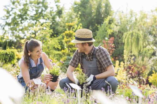 A gardener and a young woman are working together in a well-maintained garden, with the gardener dressed in a checkered shirt, light trousers, gardening gloves, and a straw hat, tending to a small potted plant. The young woman, wearing a sleeveless top and denim apron, is smiling as she observes and assists. The garden features a lush, green lawn in the foreground, bordered by flower beds filled with vibrant purple and pink blooms, and edged with soil and mulch visible towards the background. Tall trees with leafy canopies provide dappled sunlight, creating a bright and inviting outdoor environment typical of a landscaped garden in Maida Vale. Hedges and shrubs line the background, offering privacy and structure to the garden’s layout. The scene captures a peaceful moment of outdoor gardening activity, reflecting professional gardening services that focus on planting, lawn care, and garden maintenance, consistent with the services provided by Landscapers Maida Vale.